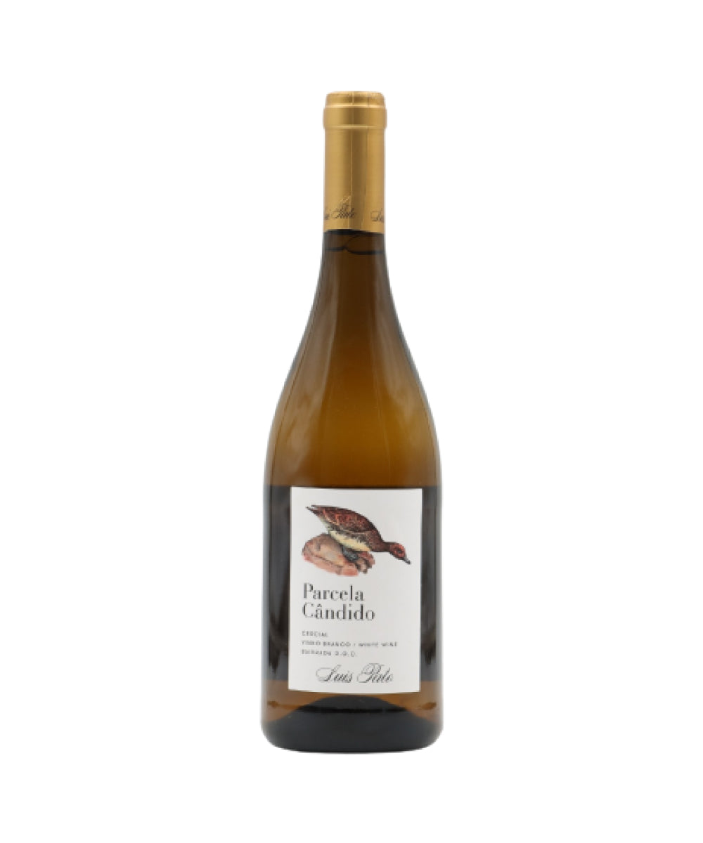 Luis Pato Parcela Cândido Branco 2015 Magnum